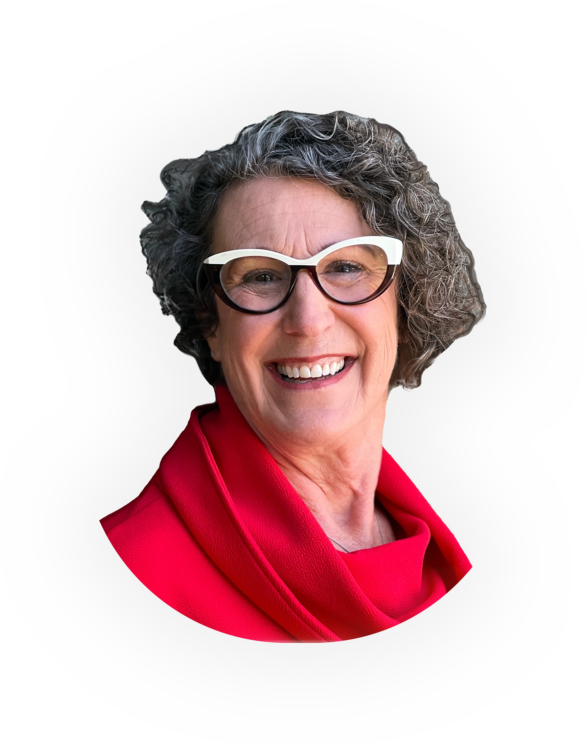 Alisa Chatinsky — NPO Success, LLC